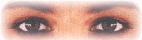 eyes.gif (20382 bytes)